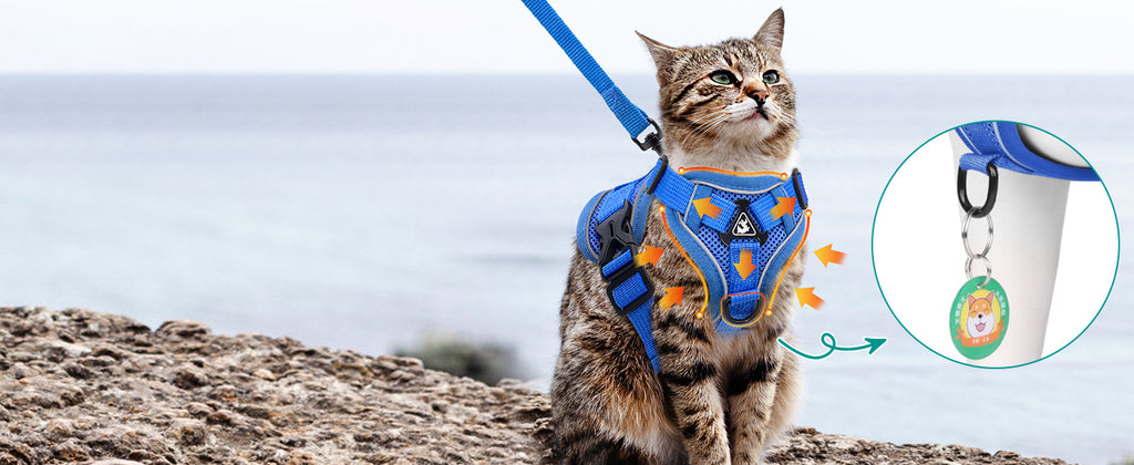The Ultimate Breathable Cat Walking Harness