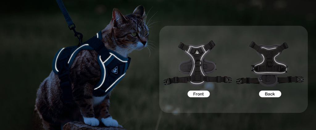 The Ultimate Breathable Cat Walking Harness
