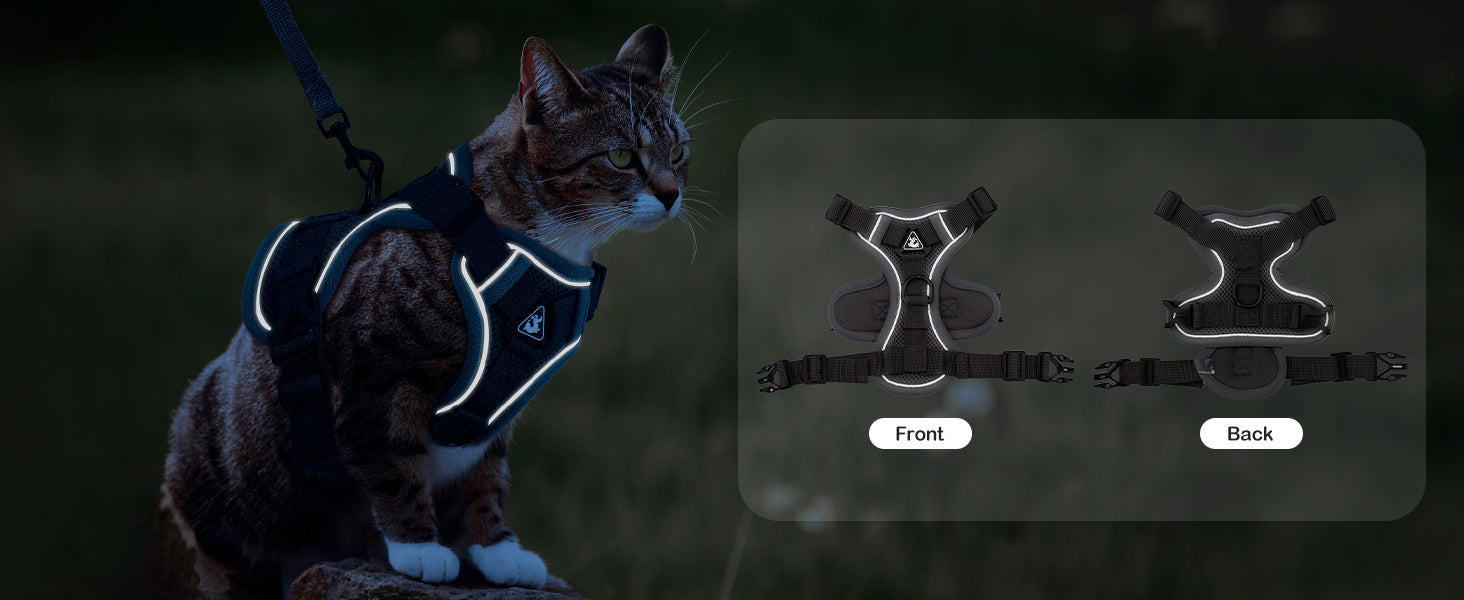 The Ultimate Breathable Cat Walking Harness