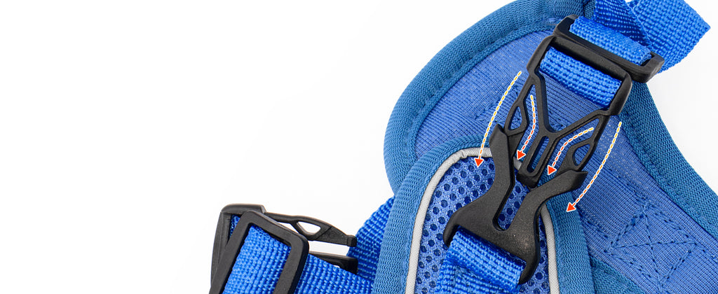 The Ultimate Breathable Cat Walking Harness