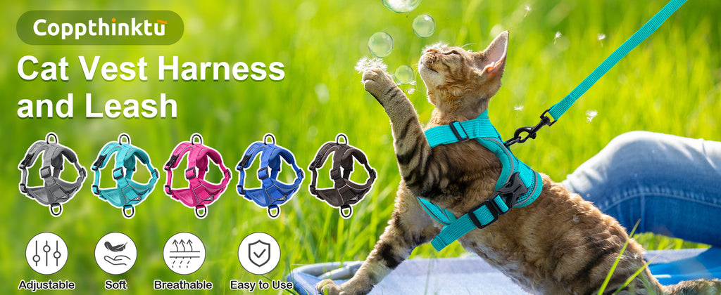 The Ultimate Breathable Cat Walking Harness