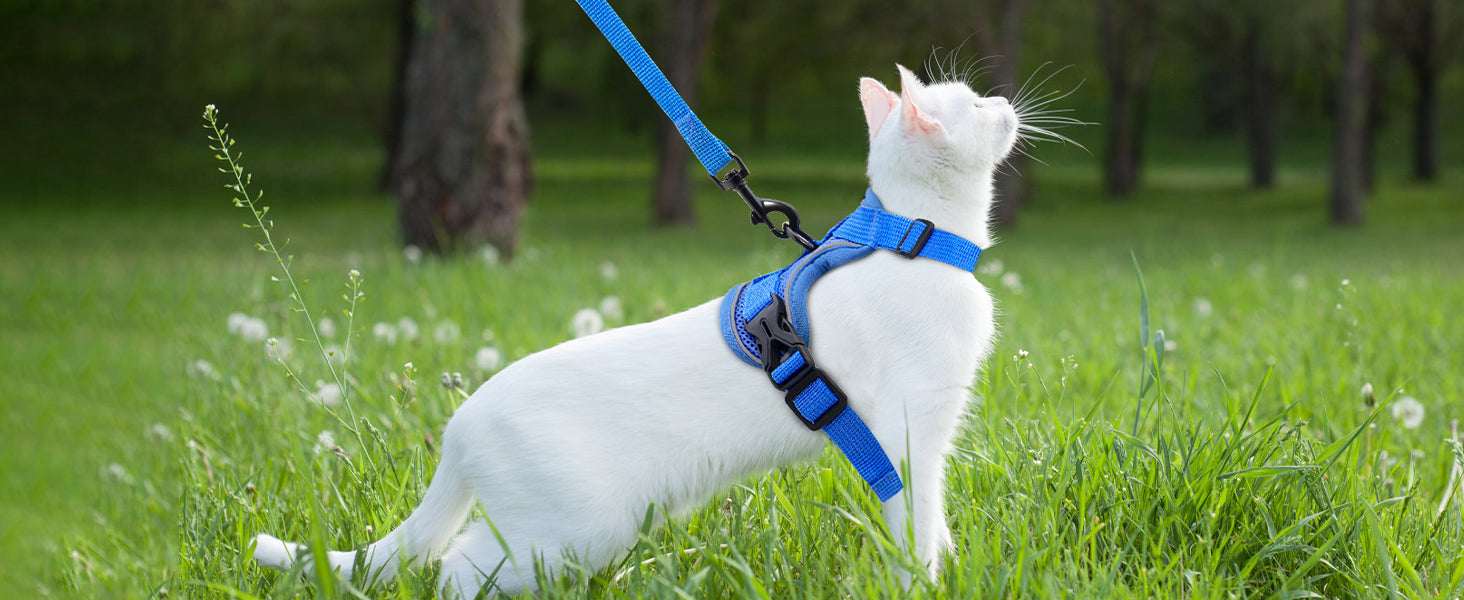The Ultimate Breathable Cat Walking Harness