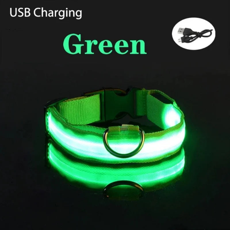 Safe Walk LED Glow Collar