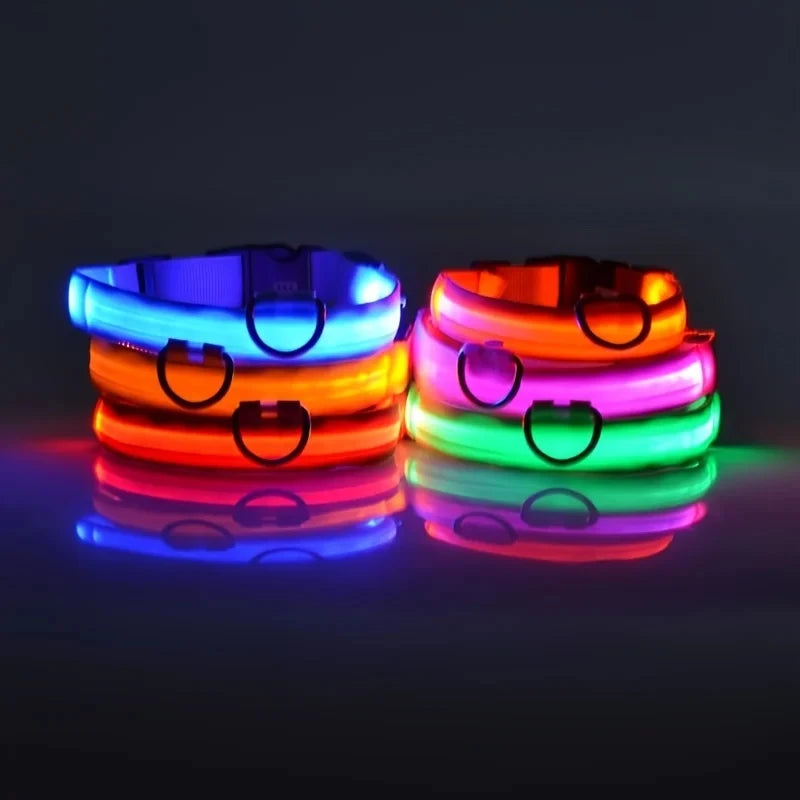 Safe Walk LED Glow Collar