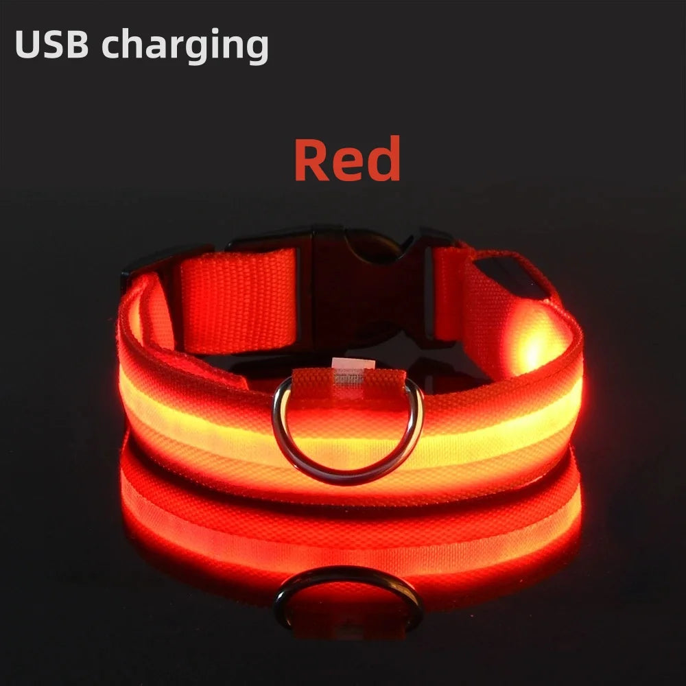 Safe Walk LED Glow Collar