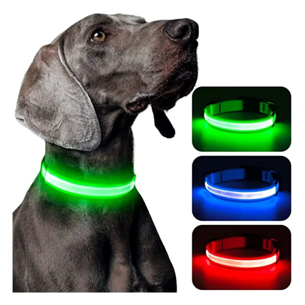 Safe Walk LED Glow Collar