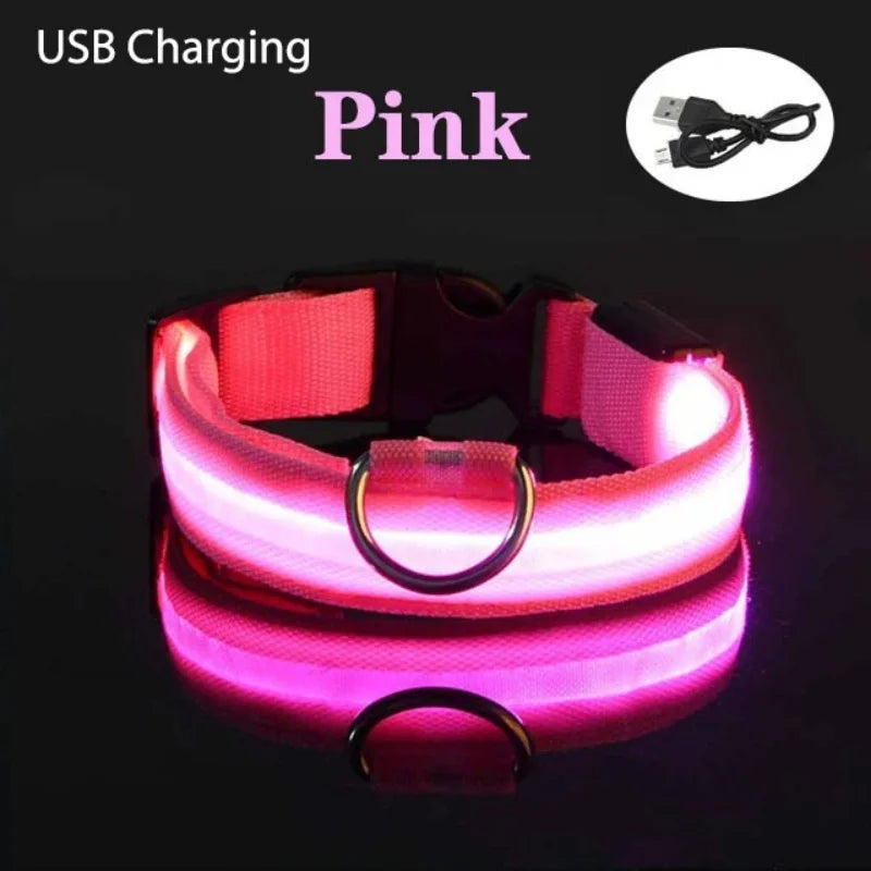 Safe Walk LED Glow Collar