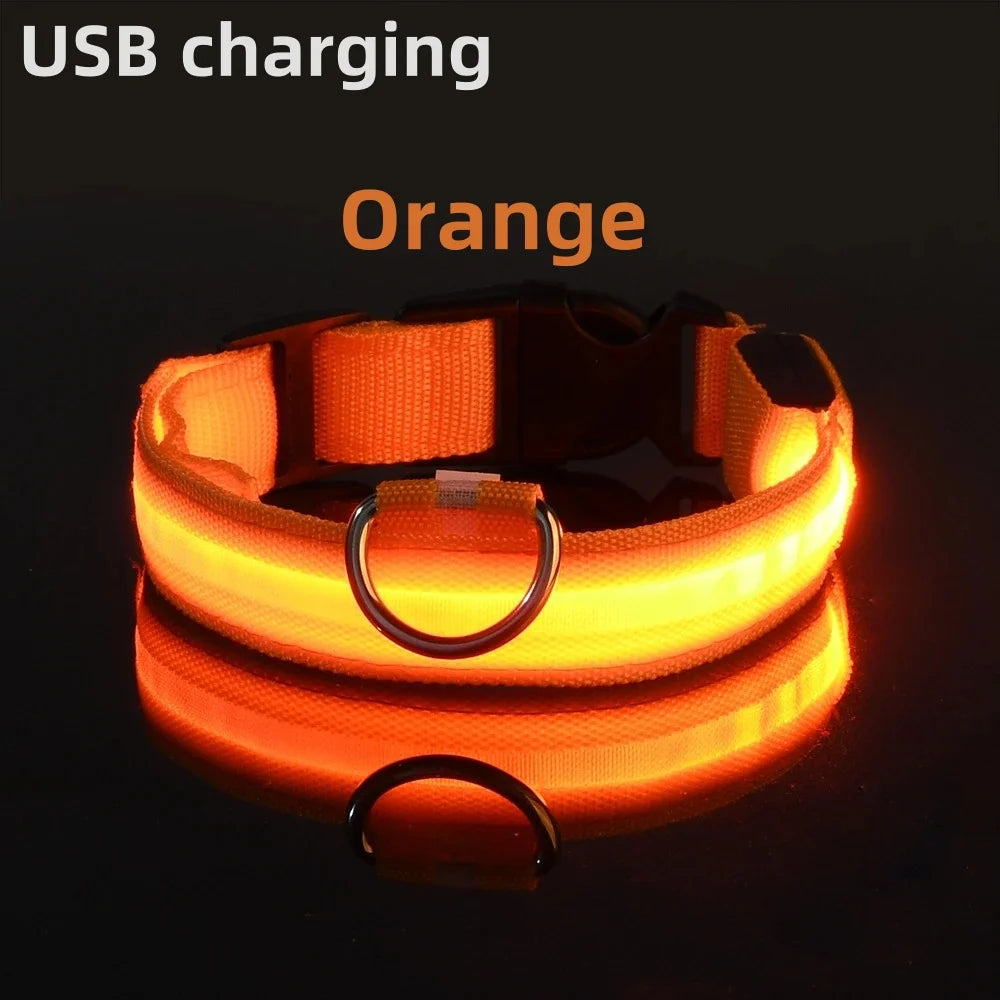 Safe Walk LED Glow Collar