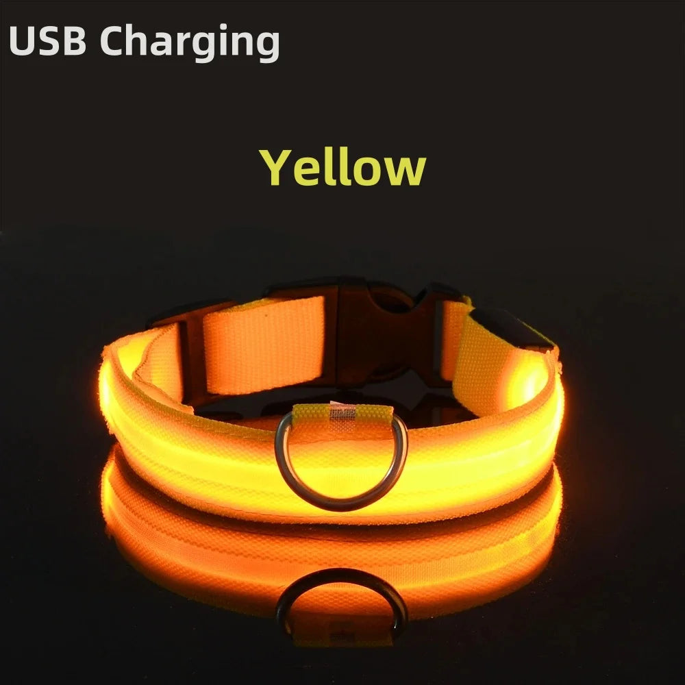 Safe Walk LED Glow Collar