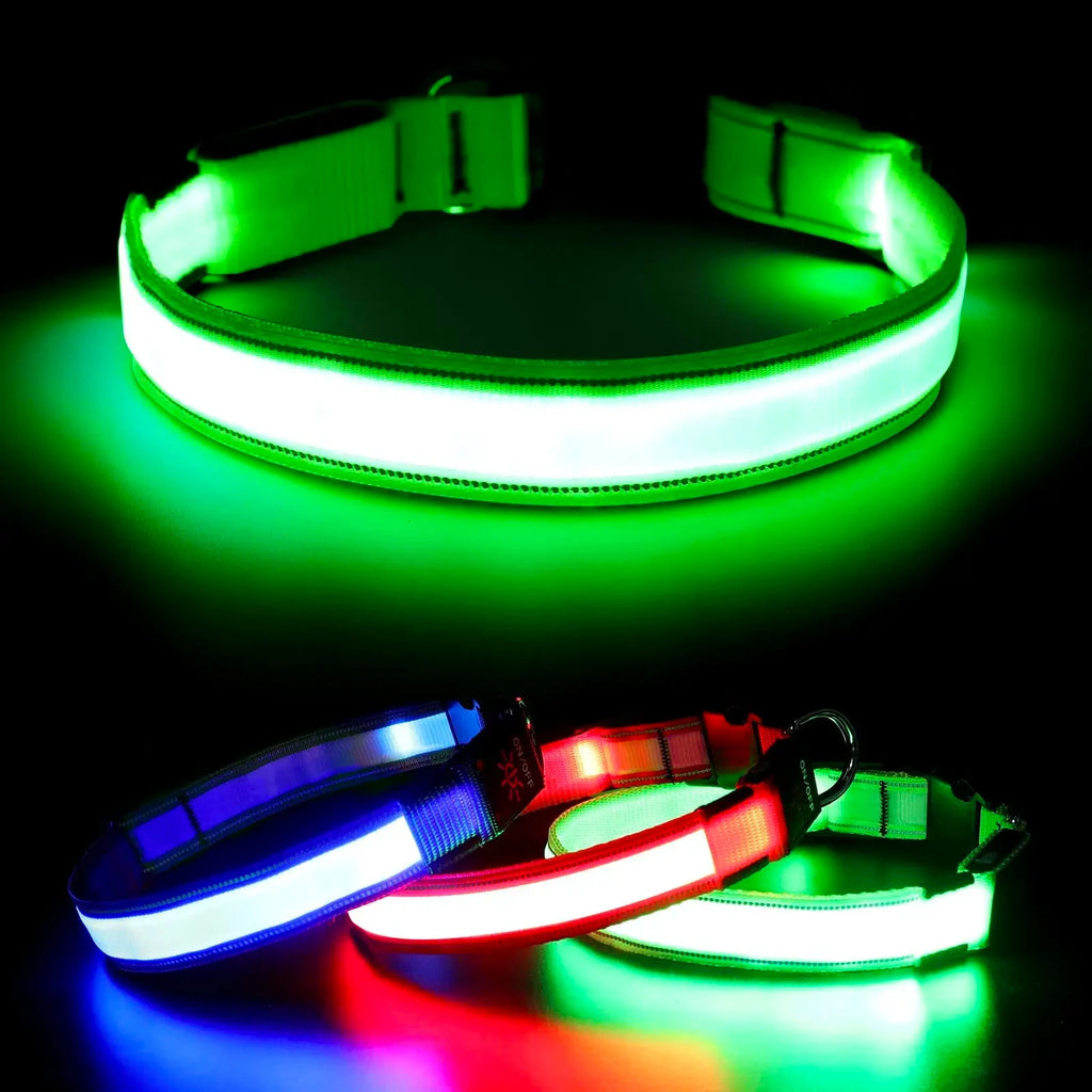 Safe Walk LED Glow Collar