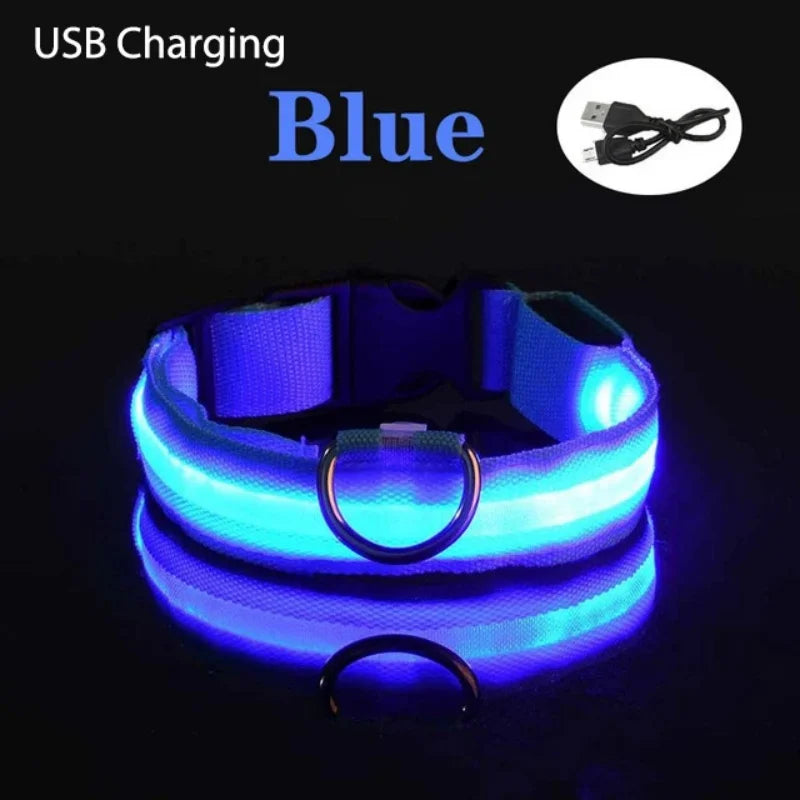 Safe Walk LED Glow Collar