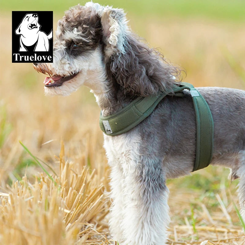 Omni Leash 7-in-1 Reflective Lead