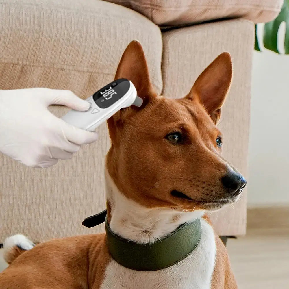 Vet Care Digital Infrared Pet Thermometer