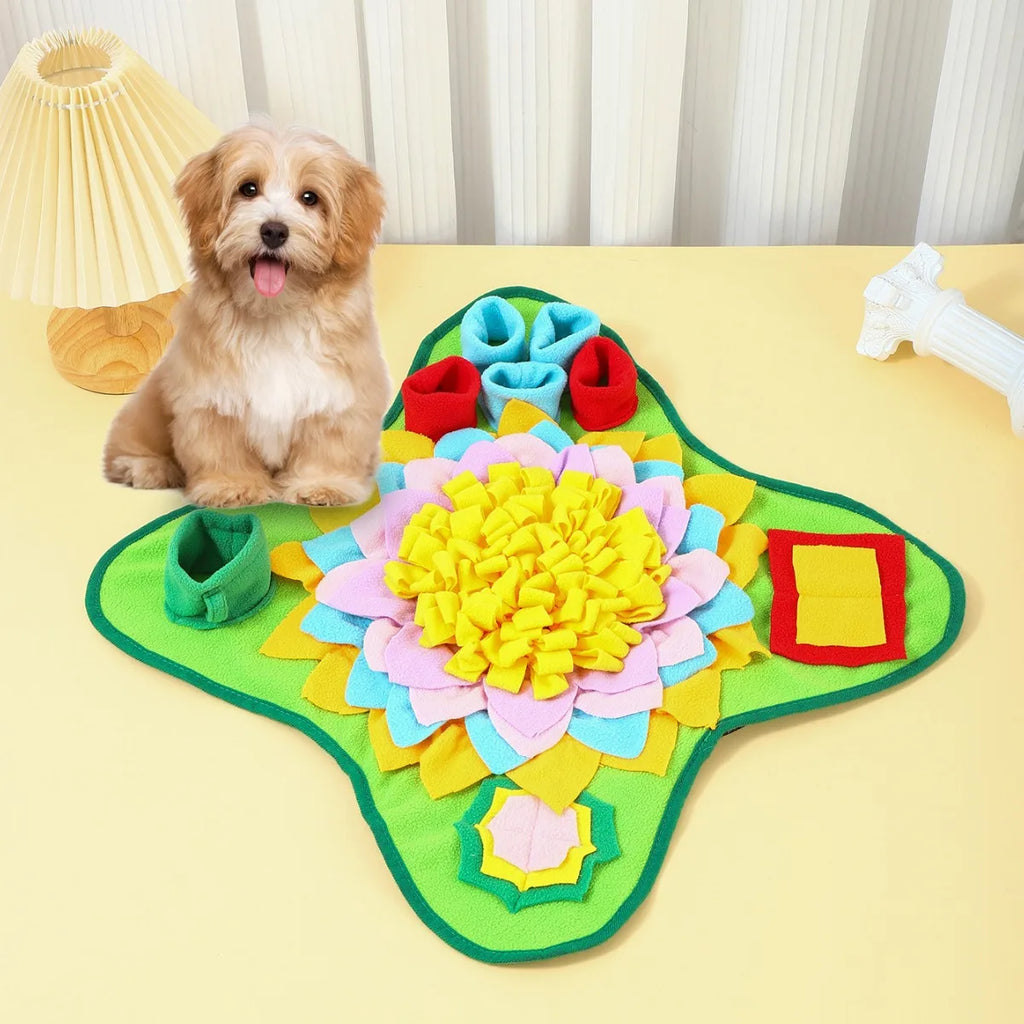 Brain Boost Interactive Snuffle Mat