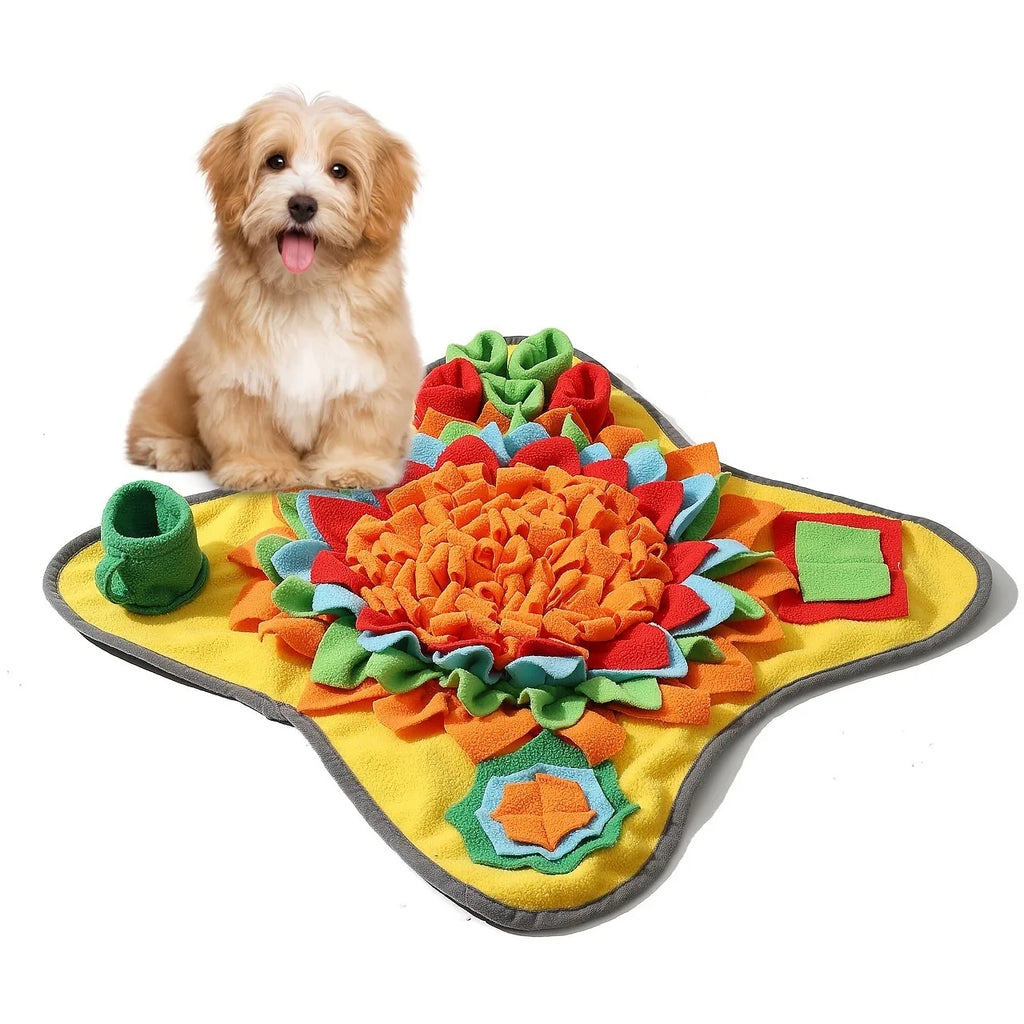 Brain Boost Interactive Snuffle Mat