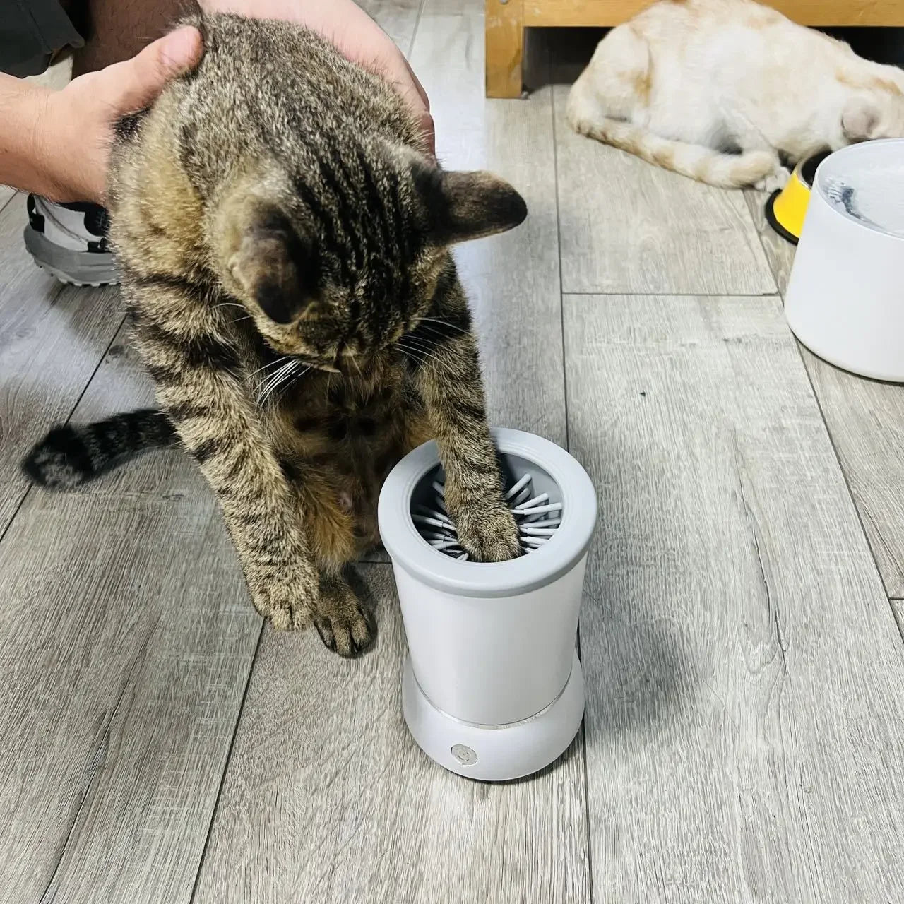 Mud Buster Automatic Paw Cleaner