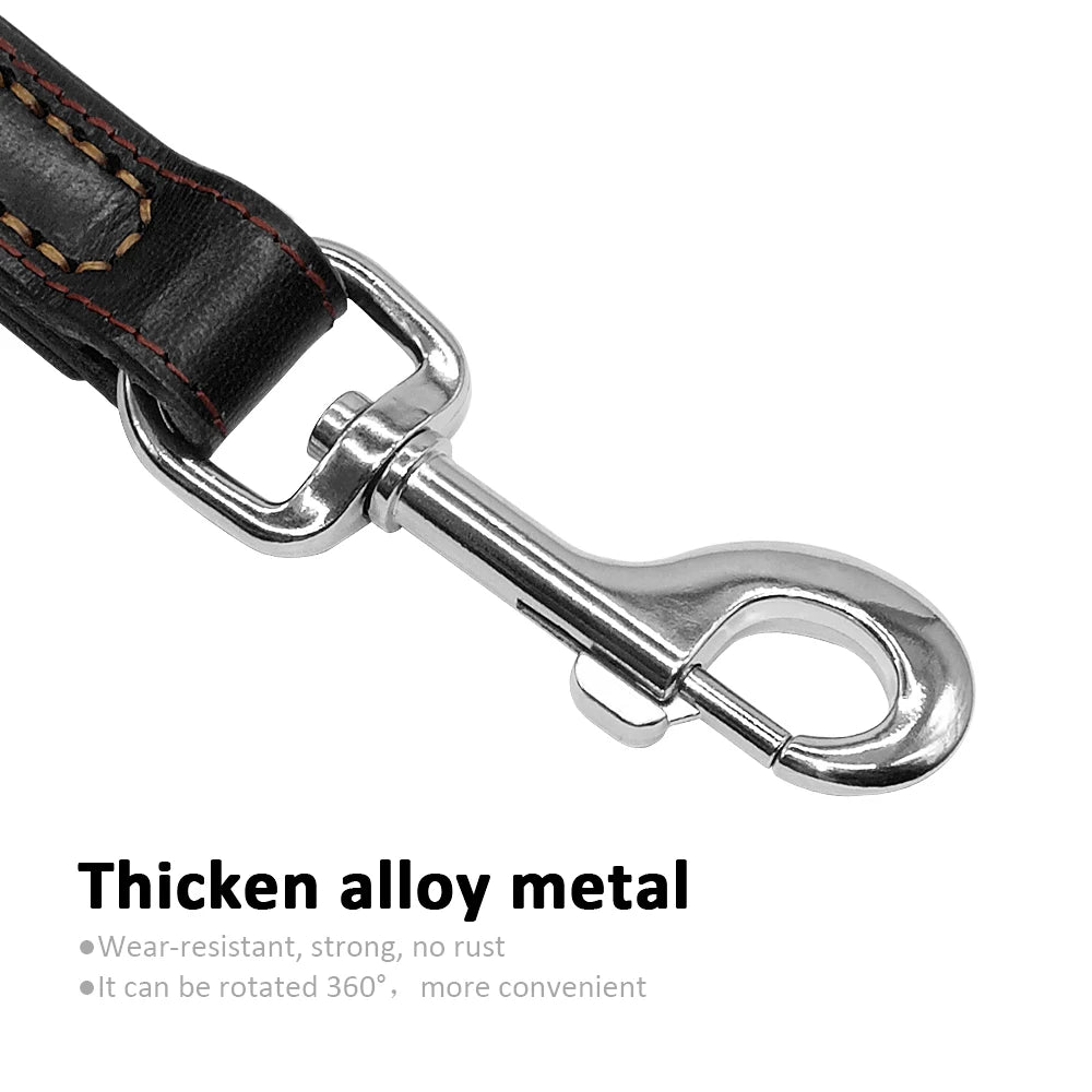 Classic Roam Genuine Leather Dog Leash