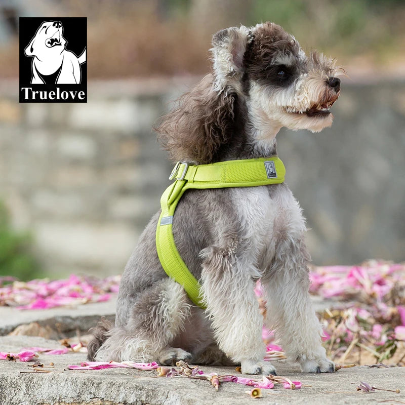 Omni Leash 7-in-1 Reflective Lead