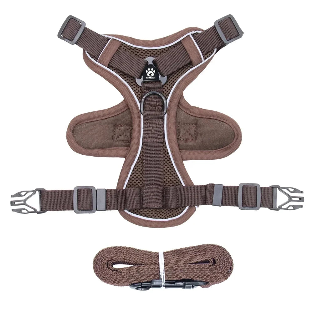 The Ultimate Breathable Cat Walking Harness
