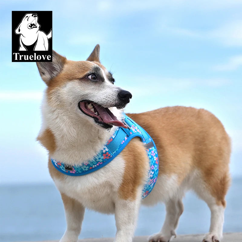 Omni Leash 7-in-1 Reflective Lead
