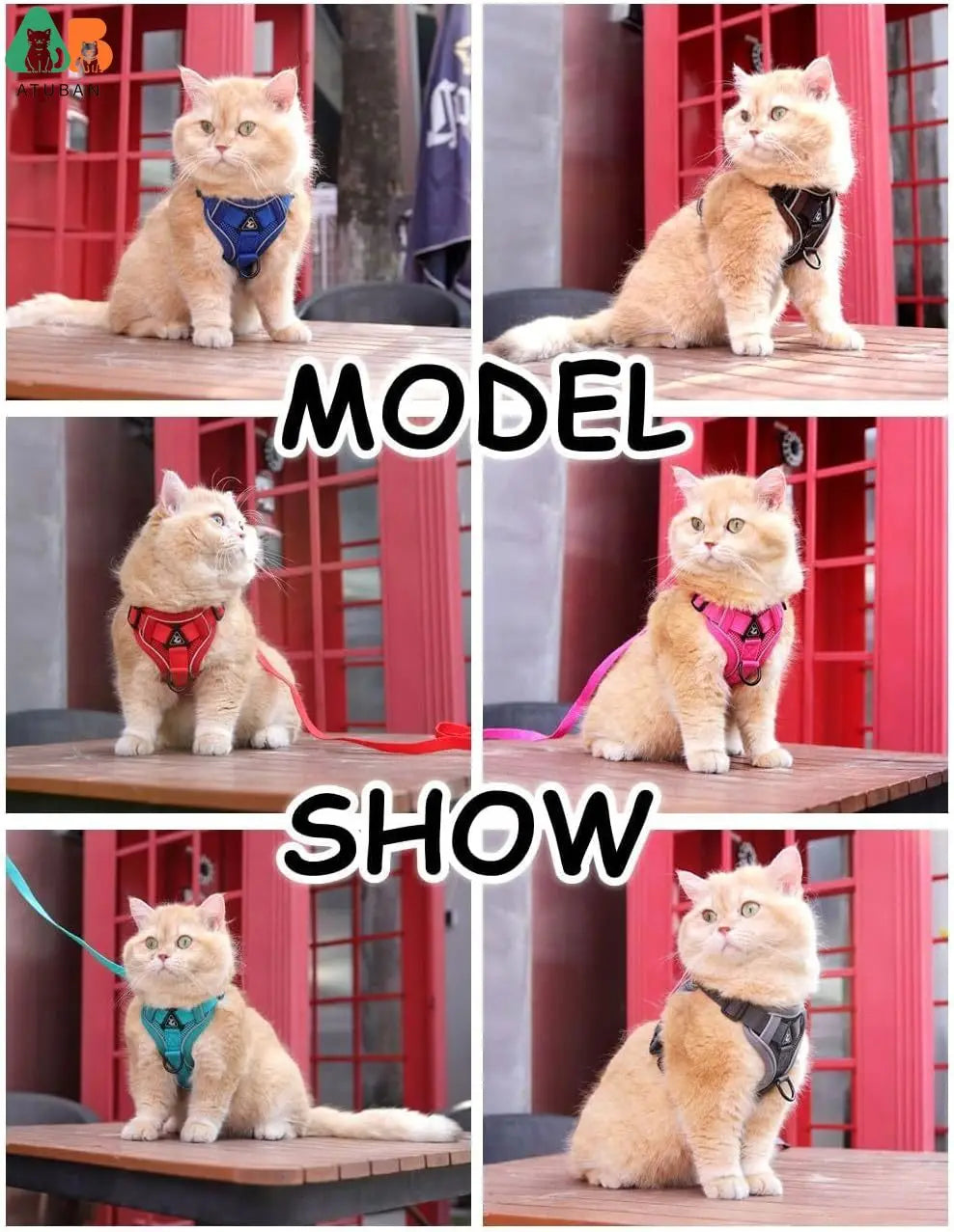 The Ultimate Breathable Cat Walking Harness