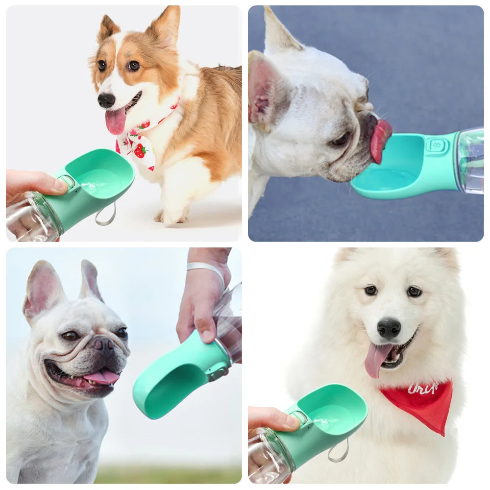 The Ultimate 2-in-1 Travel Water Bottle