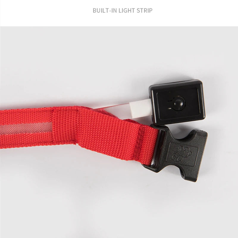 Safe Walk LED Glow Collar