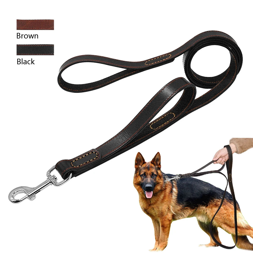 Classic Roam Genuine Leather Dog Leash