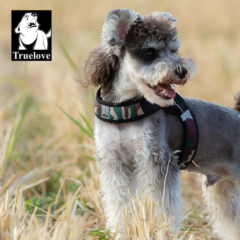 Omni Leash 7-in-1 Reflective Lead
