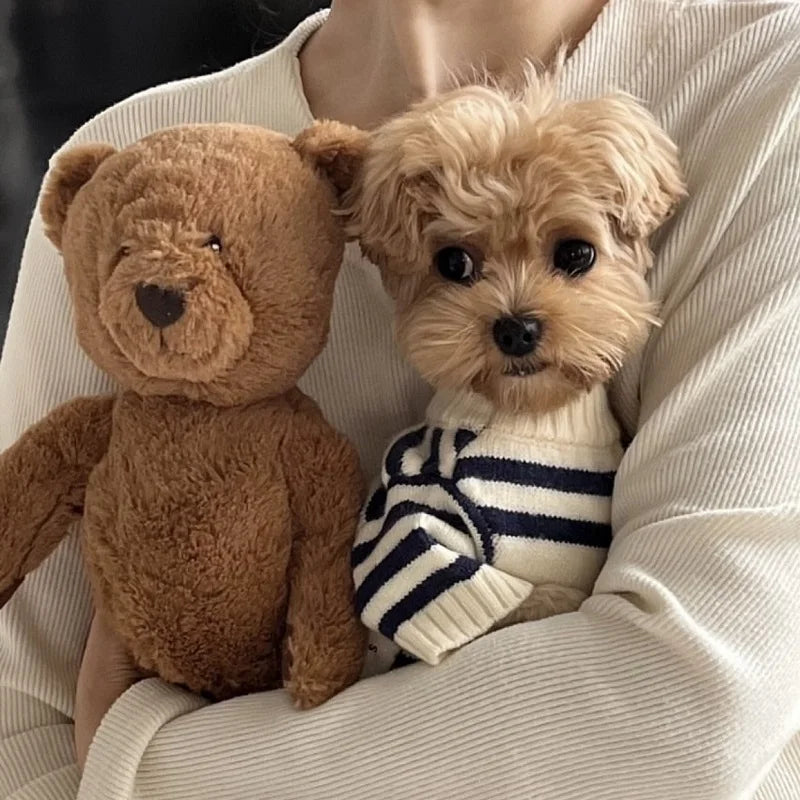 Cozy Bear Striped Luxury Dog Sweater