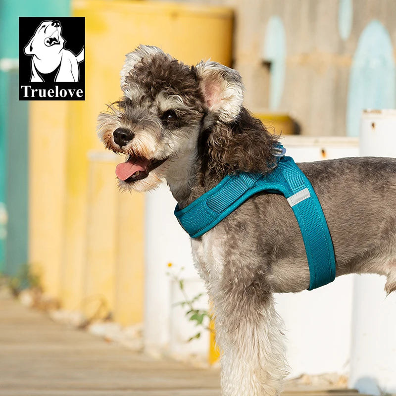 Omni Leash 7-in-1 Reflective Lead