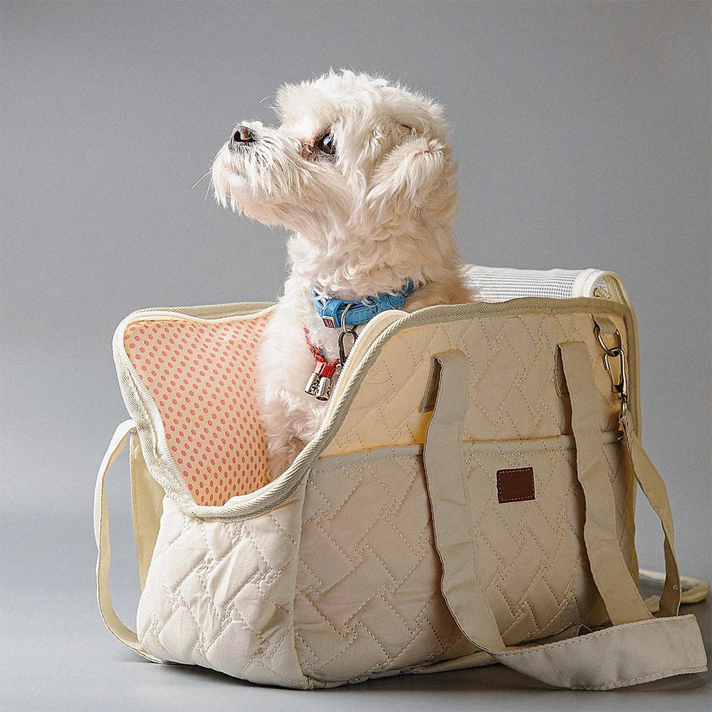 City Roam Portable Cat Travel Carrier