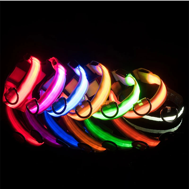 Safe Walk LED Glow Collar