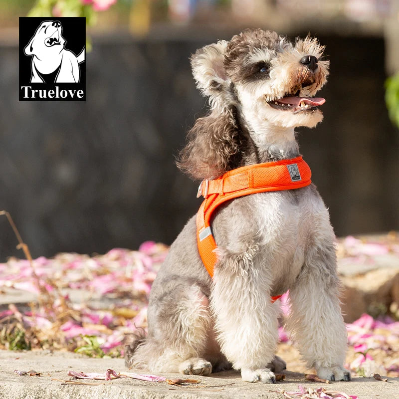 Omni Leash 7-in-1 Reflective Lead