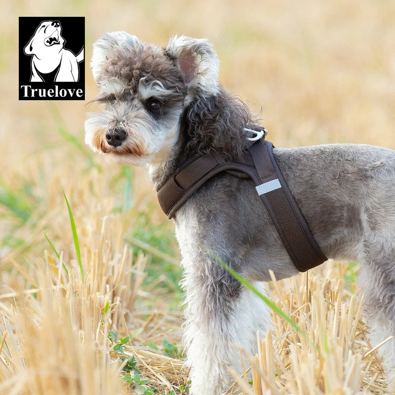 Omni Leash 7-in-1 Reflective Lead