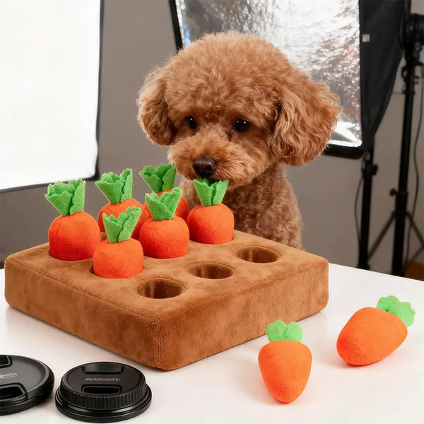 Snuffle Mat for Dogs Interactive Enrichment Funny Toys Pet Carrot Puzzle Toy Dog Activity Mat for Boredom Relief Foraging