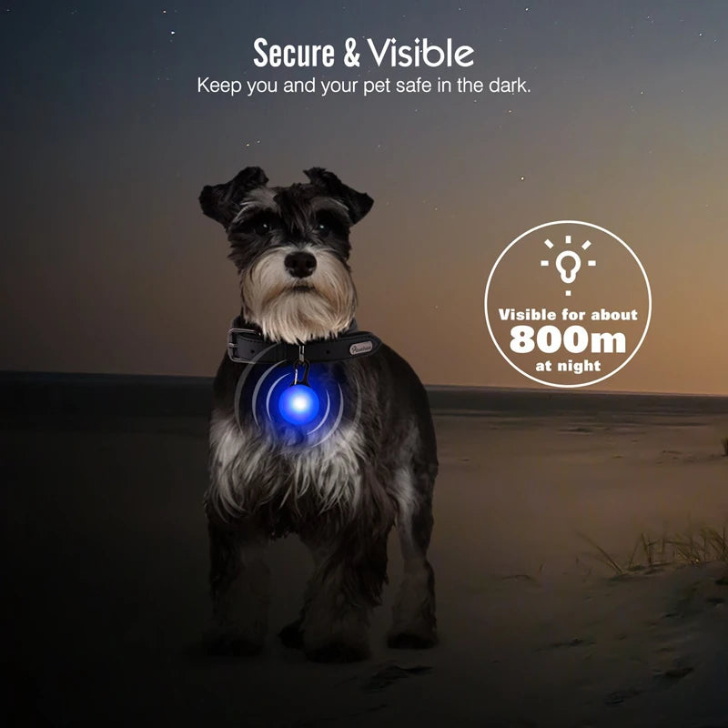 Safe Walk LED Glow Collar