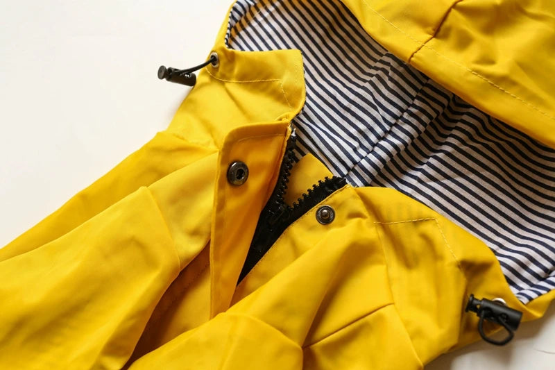 The Ultimate All-Weather Dog Jacket