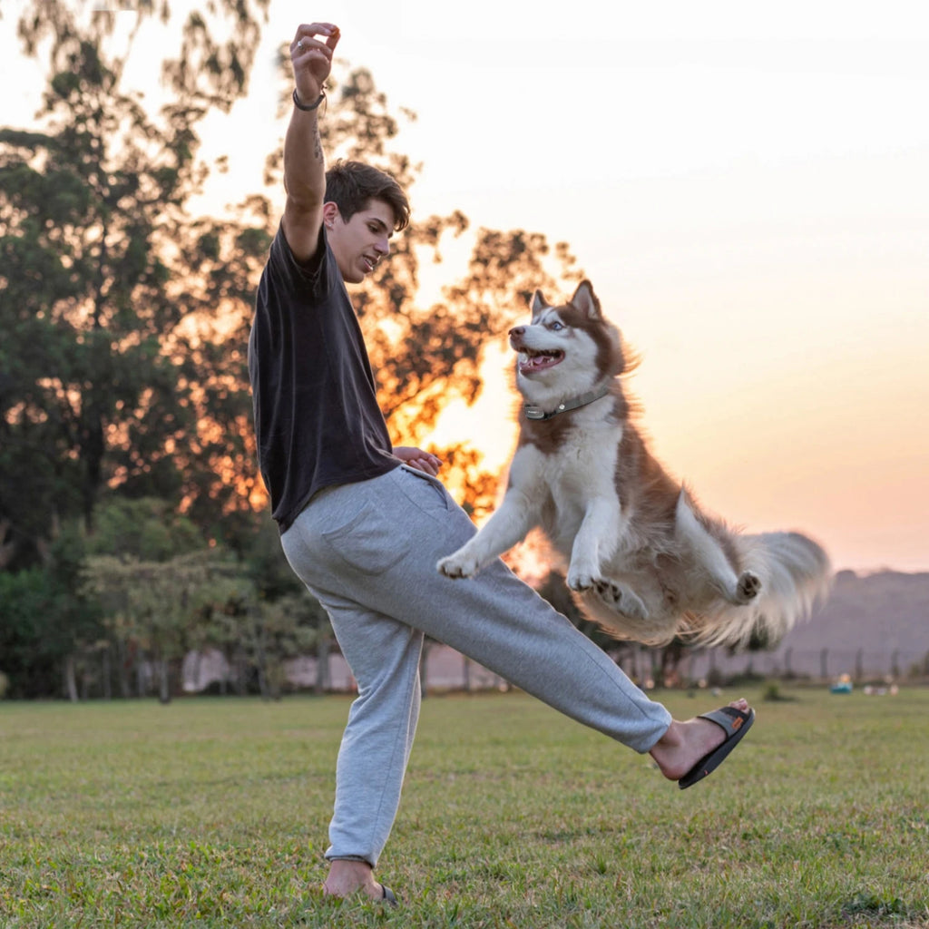 Pro Trainer 3-Mode Smart Dog Collar