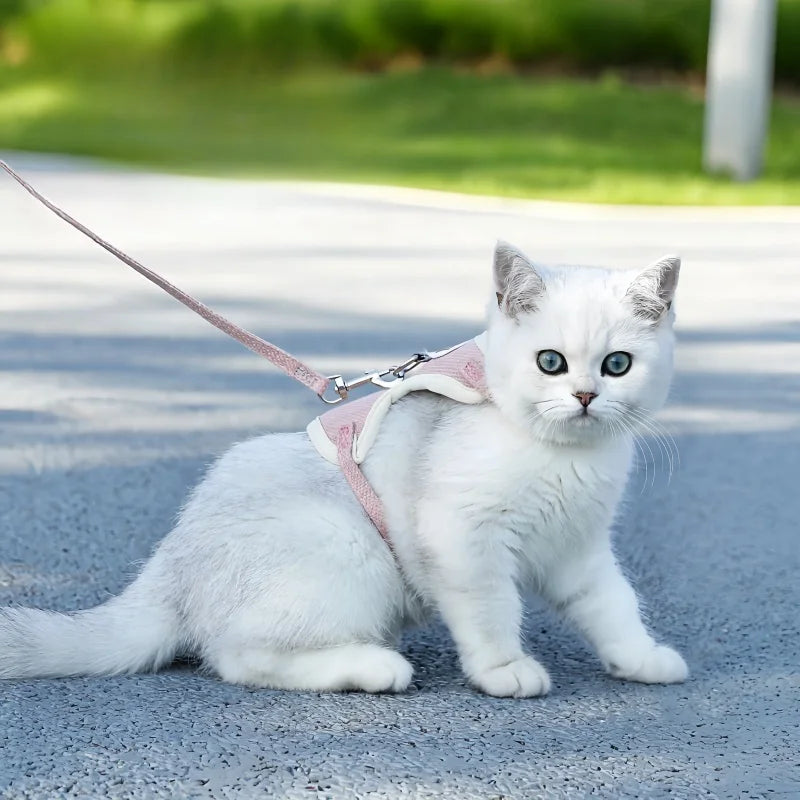 Aero Walk Breathable Harness & Lead Set