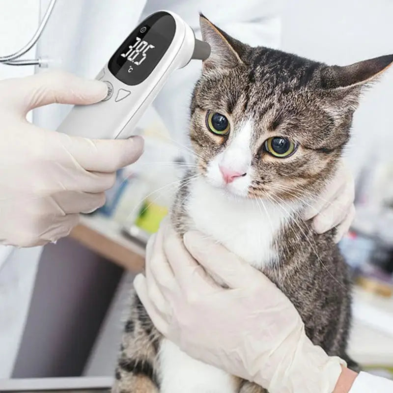 Vet Care Digital Infrared Pet Thermometer