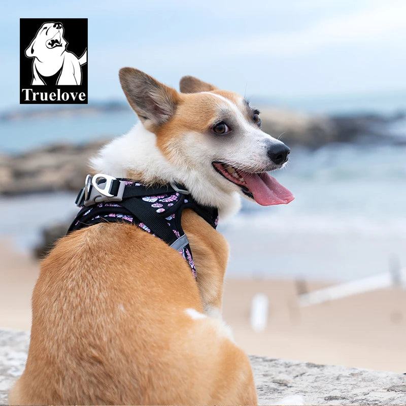 Omni Leash 7-in-1 Reflective Lead