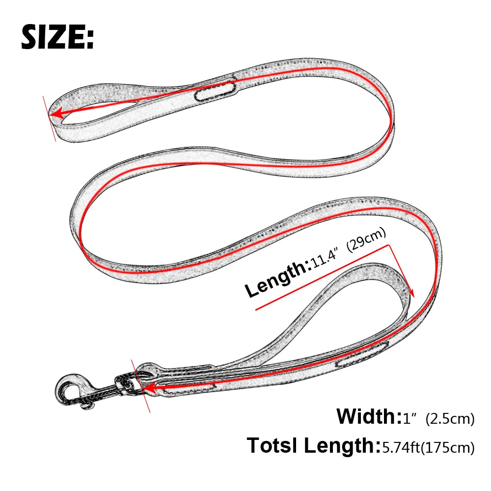 Classic Roam Genuine Leather Dog Leash