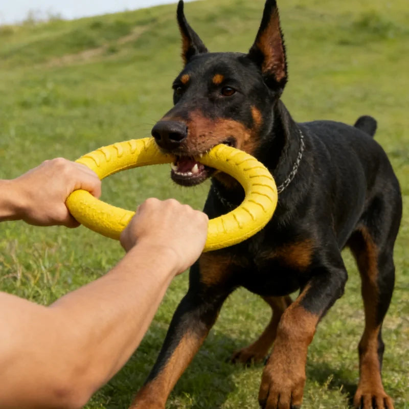 Dura Tug Interactive EVA Pull Ring