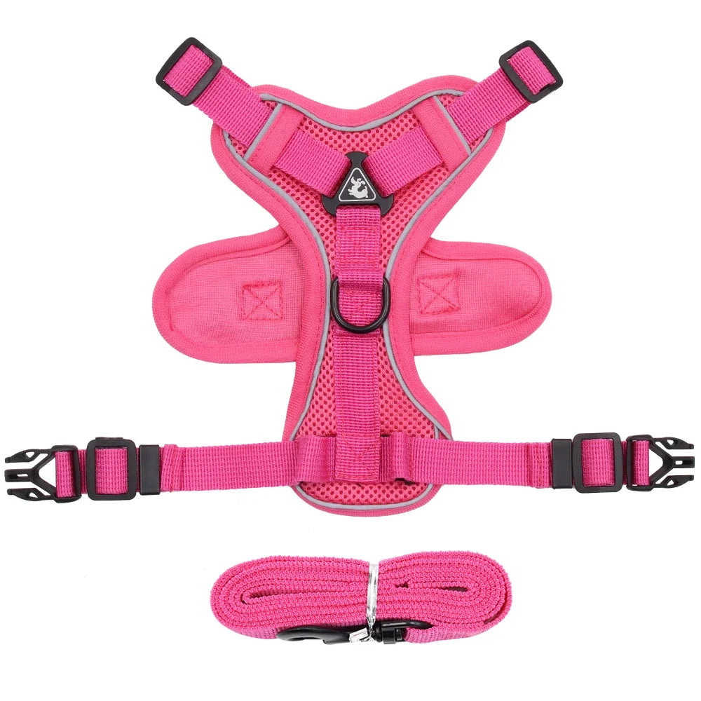 The Ultimate Breathable Cat Walking Harness