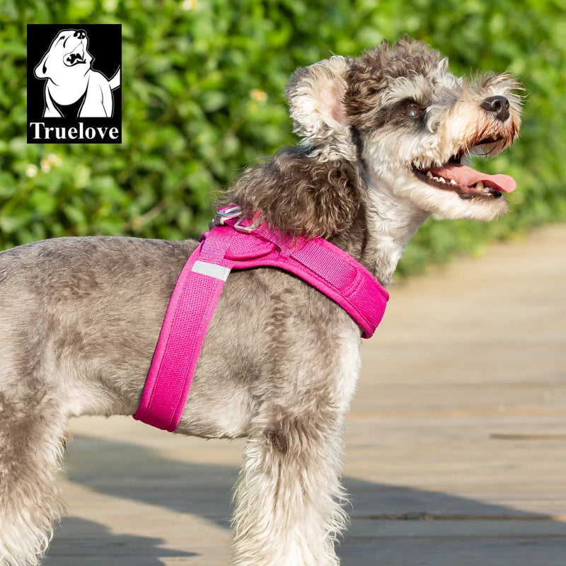 Omni Leash 7-in-1 Reflective Lead