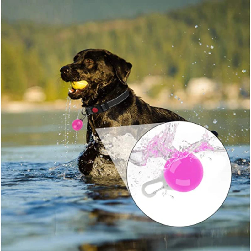 Safe Walk LED Glow Collar