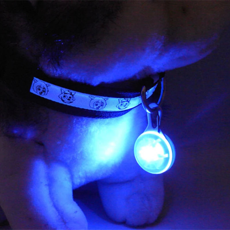 Safe Walk LED Glow Collar