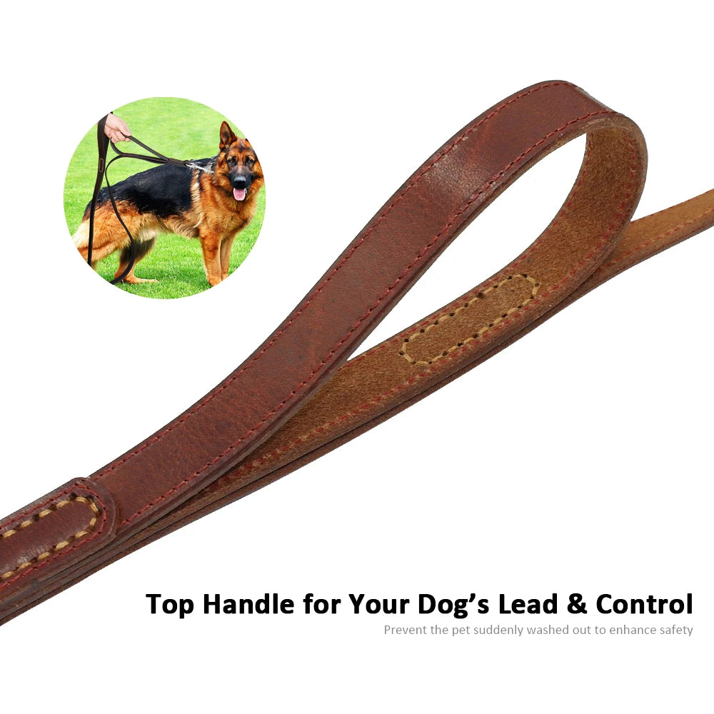 Classic Roam Genuine Leather Dog Leash
