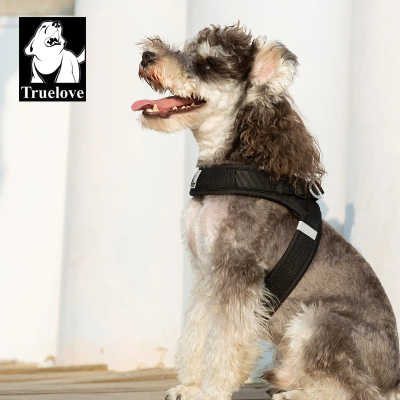 Omni Leash 7-in-1 Reflective Lead